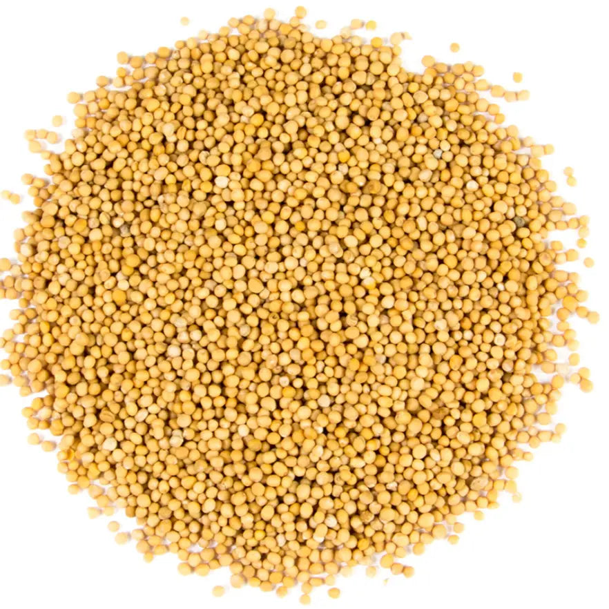 Mustard Seed Yellow Victoria Spices