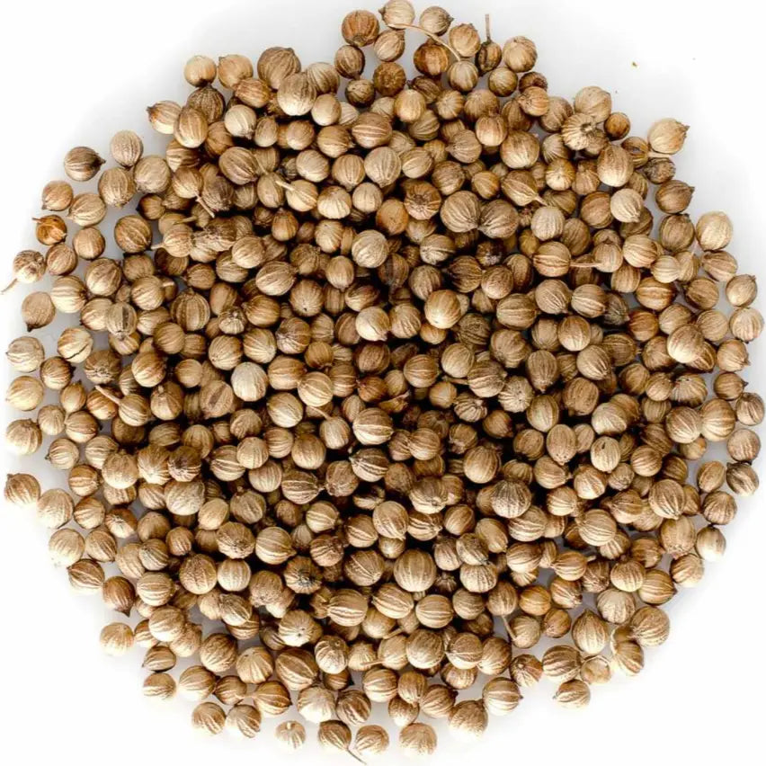 Coriander Seed Whole | Coriander Seed | Victoria Spices